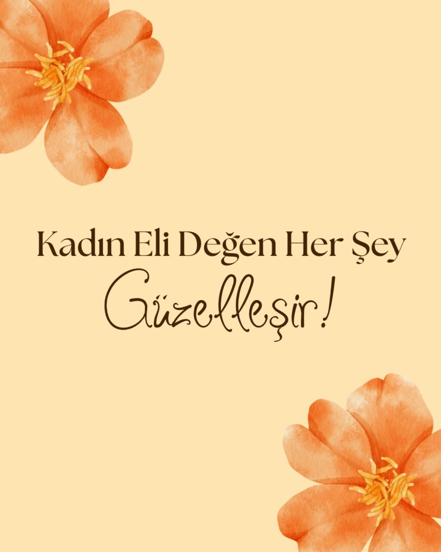Instagram gönderisi 3